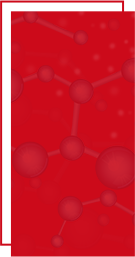 青島聯(lián)發(fā)食品科技有限公司 青島聯(lián)發(fā)食品科技有限公司